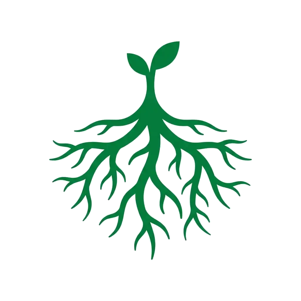 Desarrollo radicular