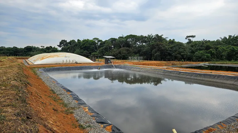 Proyecto Acajure, Acacías