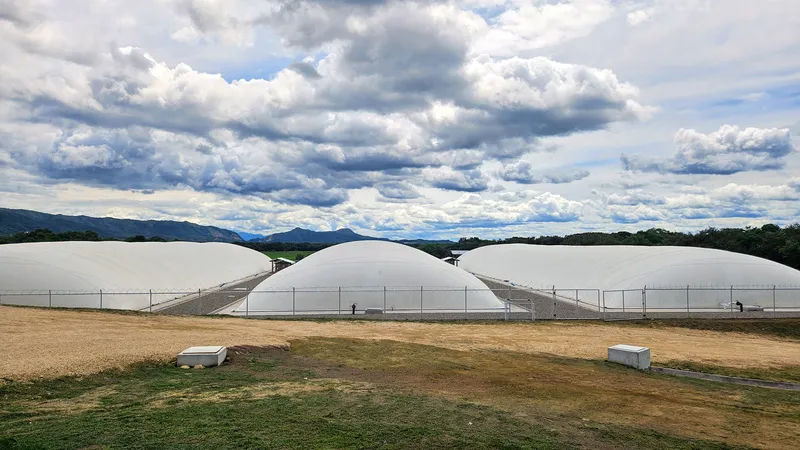 Proyecto Alfa, Ricaurte