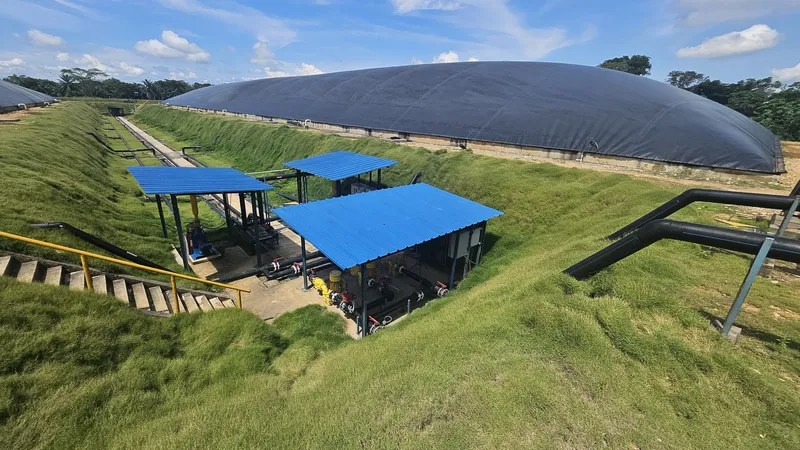 Proyecto Monterrey, Puerto Wilches